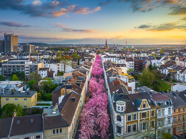 Aerial view of the famous cherry blossom trees in the old town of Bonn, Germany by Michael Abid