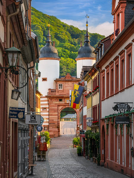 Die Altstadt und das historische Brückentor in Heidelberg, Deutschland von Michael Abid