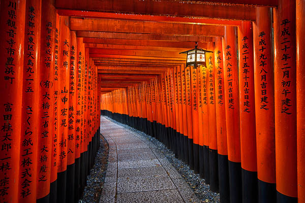 Die Tore im Fushimi-Inari-Schrein in Kyoto, Japan von Michael Abid