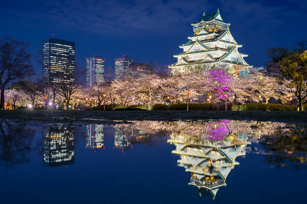 Schloss von Osaka mit Kirschbäumen und einer Spiegelung in einer Regenpfütze in der Nacht, Japan von Michael Abid