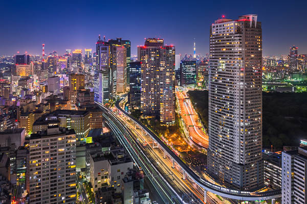 Die nächtliche Skyline von Tokio, Japan von Michael Abid