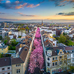 Titelbild für Bonn - Wandbilder