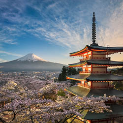 Cover photo for Wall Art of Japan