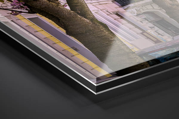 Acrylic Glass | Cherry blossoms in Bonn