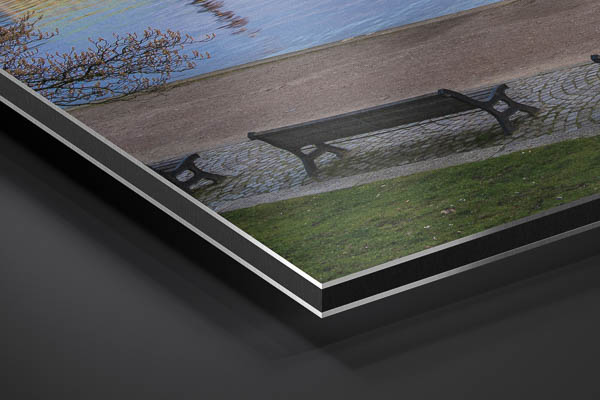 Metal Print | Cherry blossoms in Hamburg