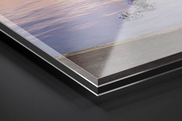 Acrylglas | Kirschblüten in Hamburg