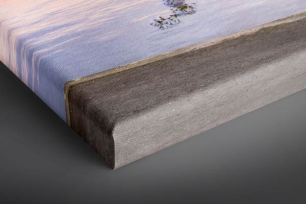 Leinwand | Kirschblüten in Hamburg