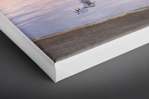 Leinwand | Kirschblüten in Hamburg