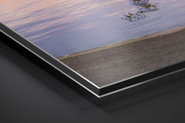 Alu-Dibond | Kirschblüten in Hamburg