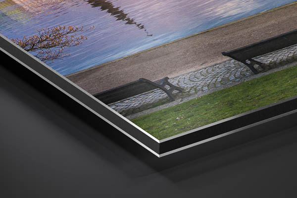 Metal Print | Cherry blossoms in Hamburg