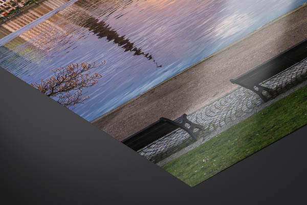 Fine Art Print | Cherry blossoms in Hamburg