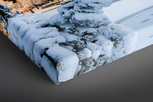 Leinwand | Rathaus von Hannover im Winter