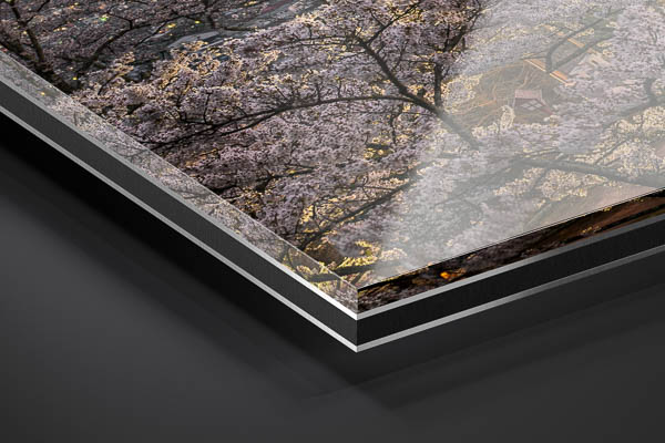 Acrylic Glass | Mount Fuji with cherry blossoms in Japan