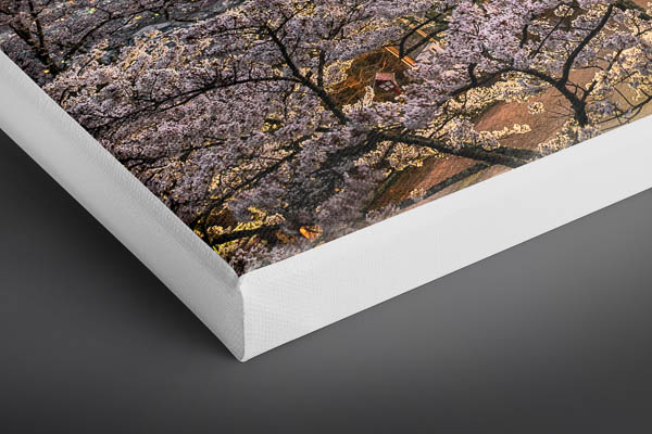 Canvas | Mount Fuji with cherry blossoms in Japan