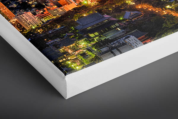 Canvas | Night skyline of Tokyo