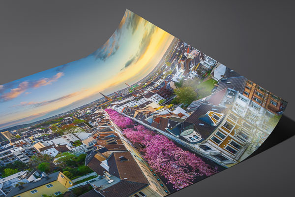 Kunstdruck / Poster | Kirschblüte in Bonn