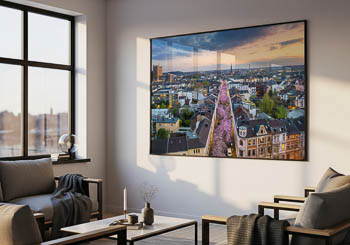 Wall Art | Cherry blossoms in Bonn