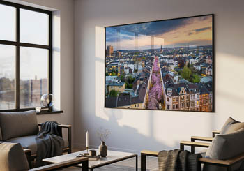 Wandbild | Kirschblüte in Bonn