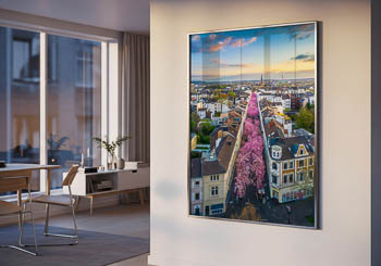 Wall Art | Cherry blossoms in Bonn