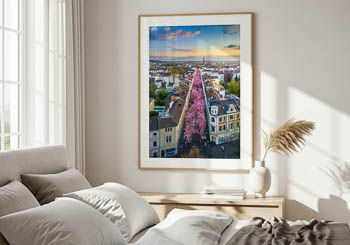 Wall Art | Cherry blossoms in Bonn