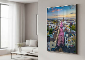 Wandbild | Kirschblüte in Bonn