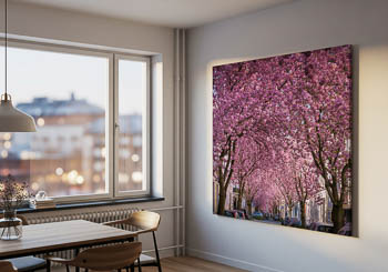 Wall Art | Cherry blossoms in Bonn