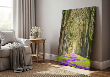 Wandbild | Krokusse im Frühling in Bremen