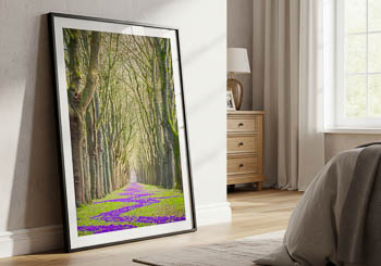 Wall Art | Spring flowers in Bremen