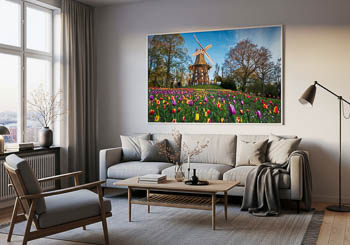 Wall Art | Tulips at the windmill in Bremen