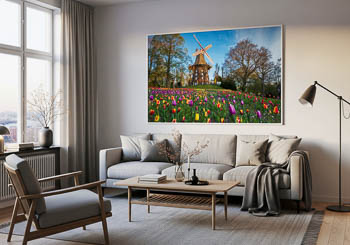 Wandbild | Tulpen an der Windmühle in Bremen