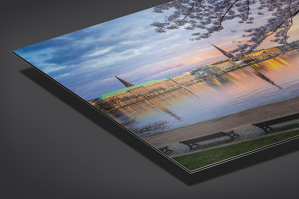 Metal Print | Cherry blossoms in Hamburg
