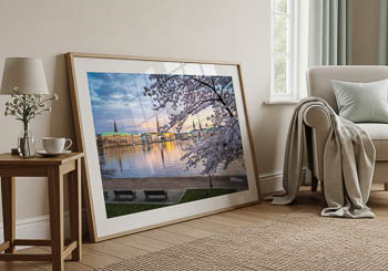 Wandbild | Kirschblüten in Hamburg