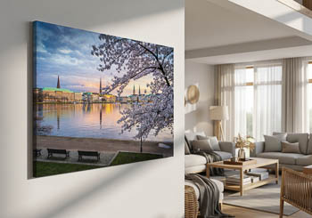 Wandbild | Kirschblüten in Hamburg