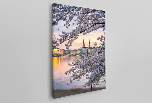 Leinwand | Kirschblüten in Hamburg