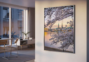 Wandbild | Kirschblüten in Hamburg