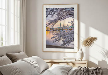 Wandbild | Kirschblüten in Hamburg