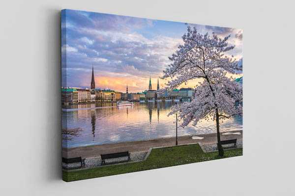 Canvas | Cherry blossoms in Hamburg