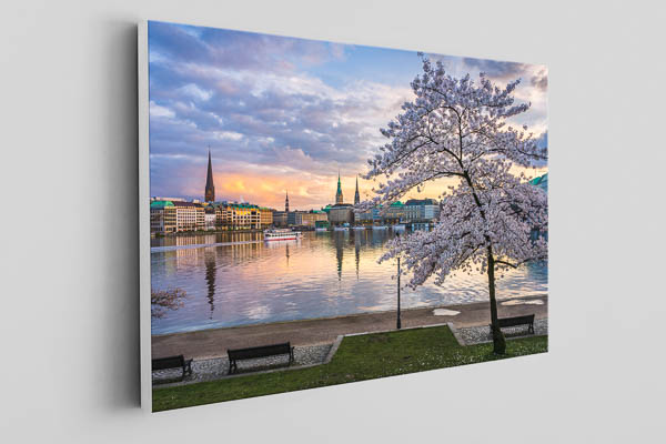 Canvas | Cherry blossoms in Hamburg