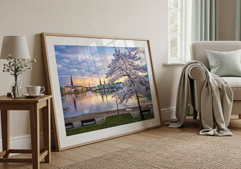 Wandbild | Kirschblüten in Hamburg