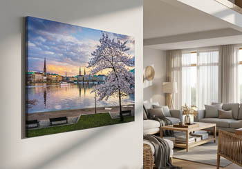 Wandbild | Kirschblüten in Hamburg