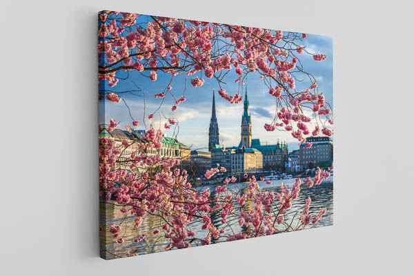 Leinwand | Kirschblüten in Hamburg