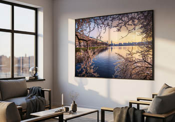 Wall Art | Cherry blossoms in Hamburg