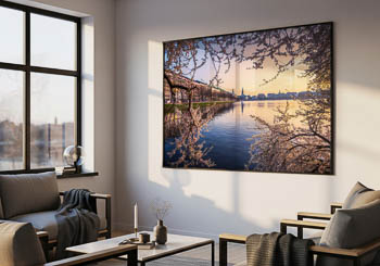 Wandbild | Kirschblüten in Hamburg