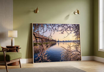 Wall Art | Cherry blossoms in Hamburg