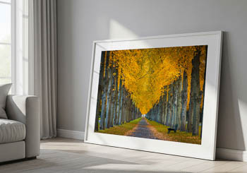 Wall Art | Herrenhausen Gardens in Hannover during autumn