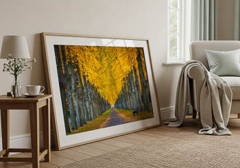 Wandbild | Herrenhäuser Gärten in Hannover im Herbst