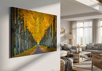 Wandbild | Herrenhäuser Gärten in Hannover im Herbst