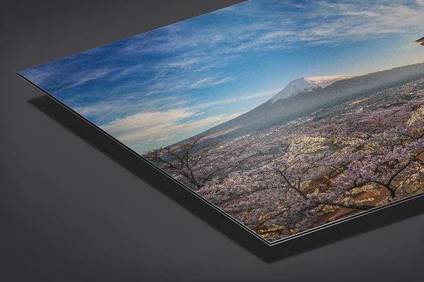 Metal Print | Mount Fuji with cherry blossoms in Japan