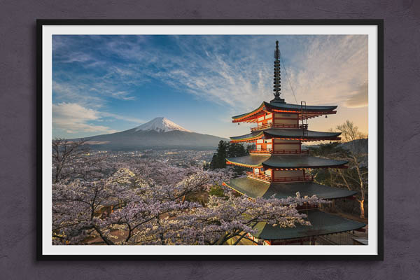 Fine Art Print | Mount Fuji with cherry blossoms in Japan