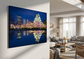 Wall Art | Castle of Osaka at night